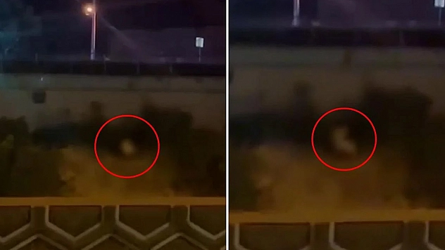 Bu kadarı da pes dedirtti: Yol kenarında cinsel ilişkiye girdiler