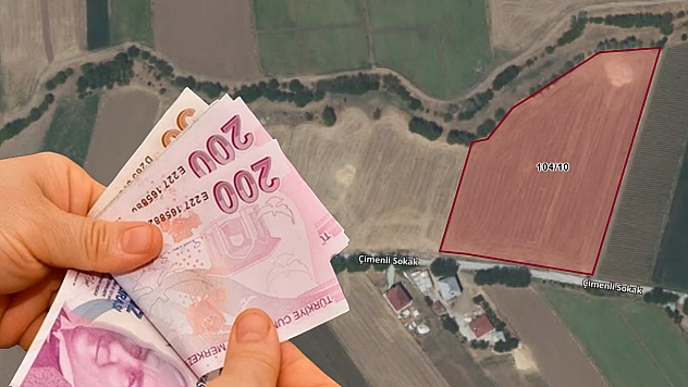 Bu tarlayı alan kazanacak! Elazığ'da icradan satışa çıkıyor…