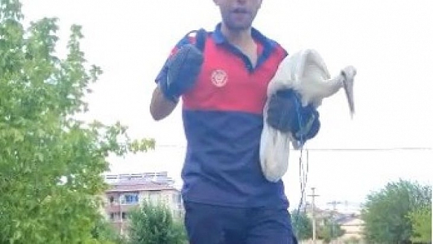 Cami kubbesindeki zincire ayağı takılan leylek  kurtarıldı