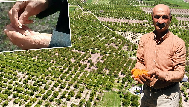 Çiftçilere ödeme müjdesi…