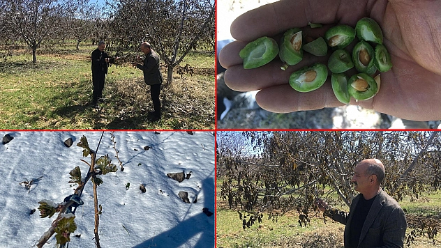Çiftçiye zirai don darbesi
