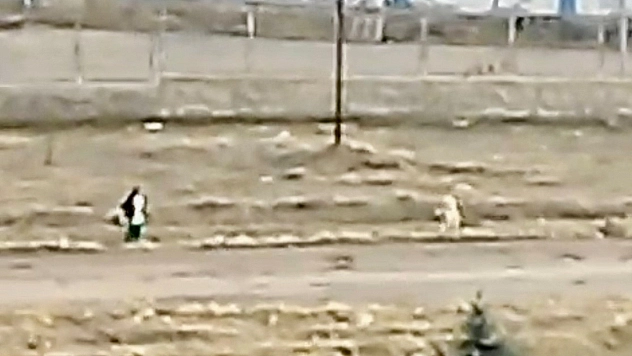 Malatya'da çuval parçası ile köpek saldırısından kurtulan çocuk