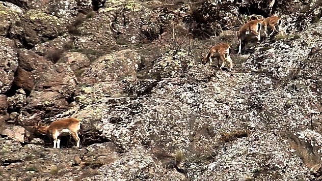 Dağların usta tırmanıcıları sert rüzgâra meydan okudu