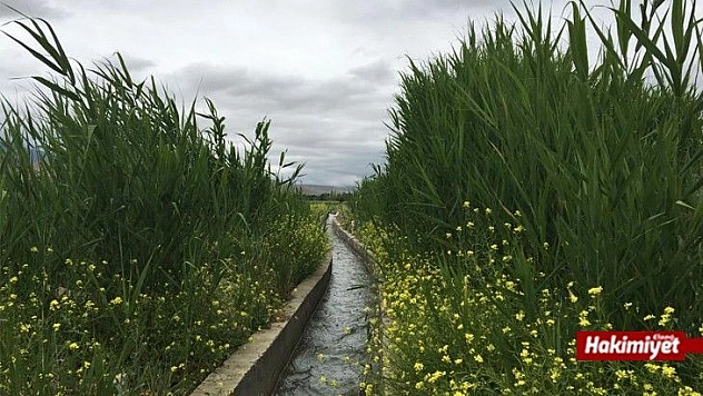 DAP'tan, 2021 yılında, 211 projeye 84 Milyon Lira destek