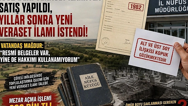 Devletin verdiği belge devlete yetmedi
