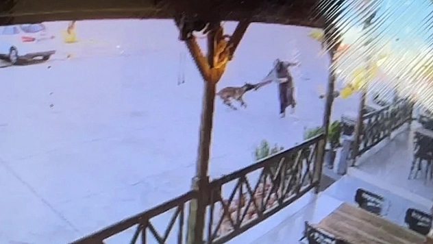 Dinlenme tesisinde feci saldırı: Kadının kolu koptu