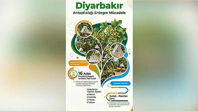 Diyarbakır'da dal güvesine karşı feromon tuzaklı takip