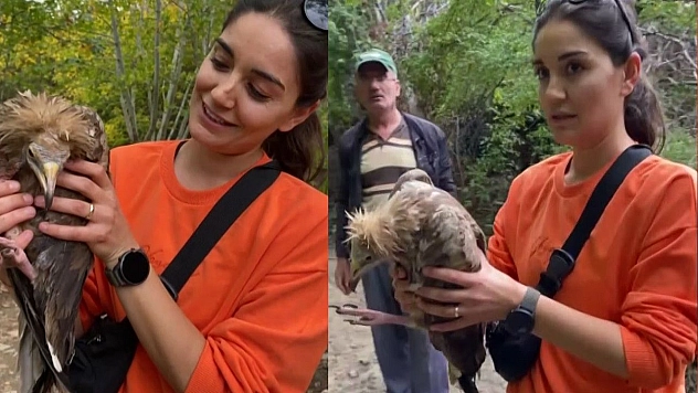 Doğa Yürüyüşü Sırasında Bitkin Düşen Akbaba Buldular