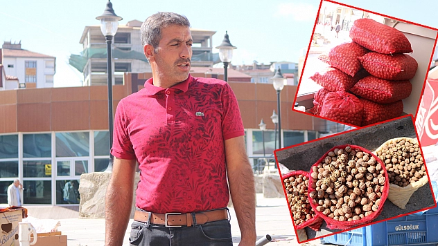 Ekonomi Elazığ'da Cevizi Vurdu Vatandaş Şikayetçi!