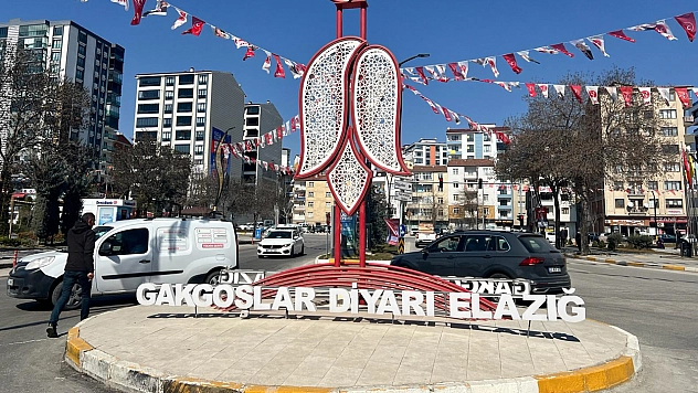 Elazığ'a Ceza Yağacak! 691 Liradan Başlayıp 33 Bin Lirayı Aşıyor