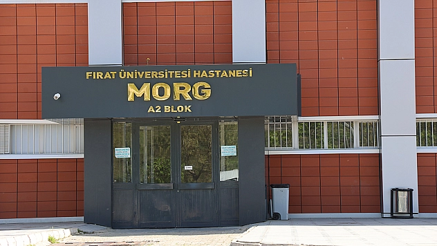 Elazığ'a üzüm almaya gitti, yaşamını yitirdi