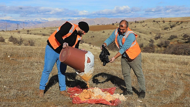 Elazığ Belediyesi doğaya yem bıraktı