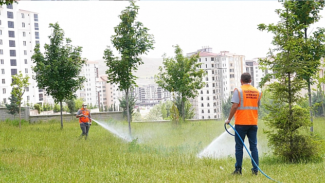 Elazığ Belediyesi, ilaçlama çalışmalarını aralıksız sürdürüyor
