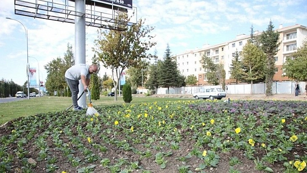 Elazığ Belediyesi'nden Mevsimlik Çiçek Dikimi