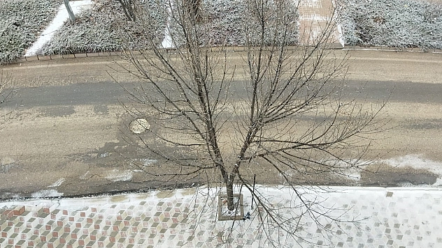 Elazığ beyaza bürünüyor