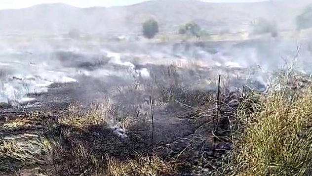 Elazığ'da 10 Dönüm Tarım Arazisi Yandı