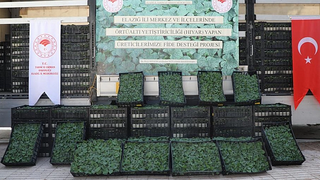 Elazığ'da 101 bin adet fide dağıtımı yapıldı