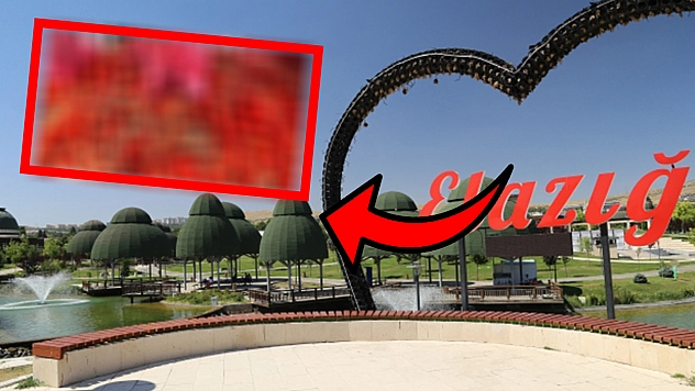 Elazığ'da 3 kilosu 50 liradan satıldı vatandaşlar poşet poşet aldı