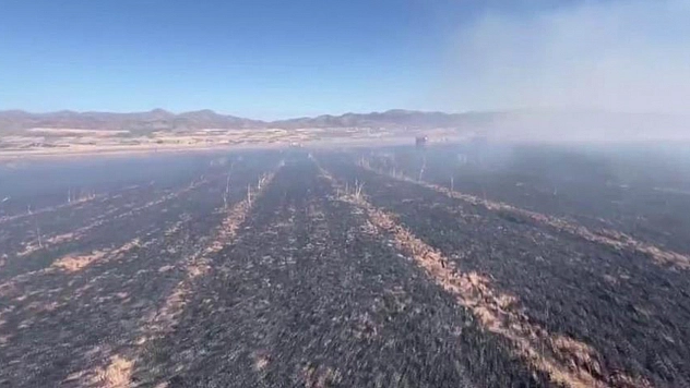 Elazığ'da 60 dönümlük alan küle döndü!