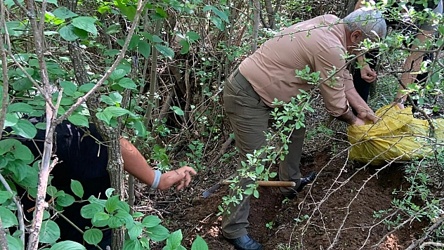 Elazığ'da 775 Bin Lira Paranız Yoksa Bunu Sakın Yapmayın!