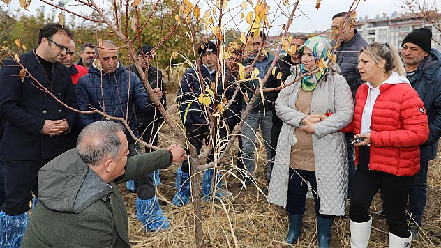 Elazığ'da ağaç budama ve aşılama eğitimi