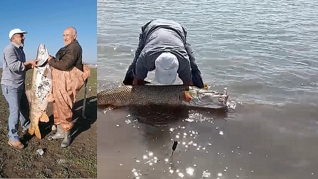 Elazığ'da amatör balıkçılar 65 kilo ağırlığında turna balığı yakaladı