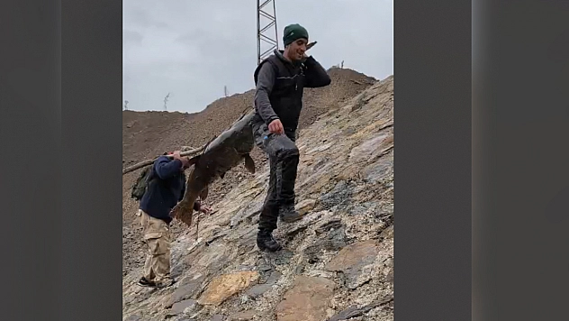 Elazığ'da amatör balıkçıların taşıma yöntemi ilgi çekti