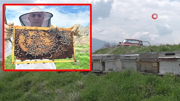 Elazığ'da arıcılar yavru döneminde