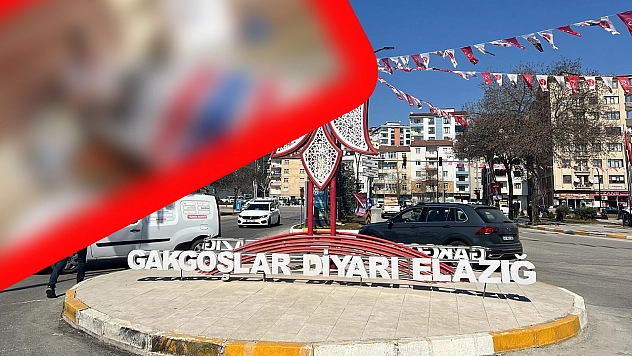 Elazığ'da artık anılarda hatırlanacak olan işte o meslek