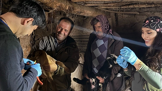 Elazığ'da aşılama ve küpeleme çalışmaları sürüyor