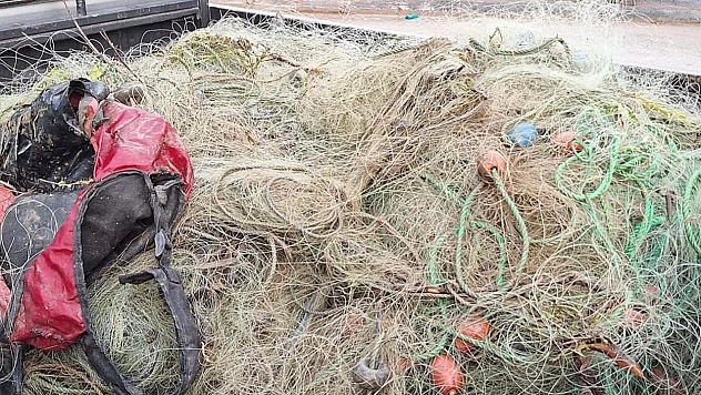 Elazığ'da av yasağı bitti, 136 kişiye 1 milyon lira ceza