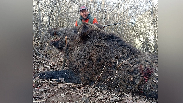 Elazığ'da avlandı, görenler aslan sandı