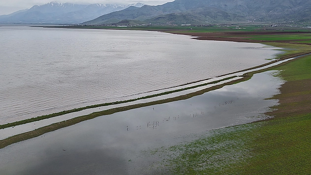 Elazığ'da aynı nokta, 7 yıl arayla: 2019'da kurudu, 2026'da sular altında kaldı