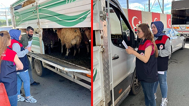 Elazığ'da bayram öncesi yollarda sıkı kurbanlık denetimi