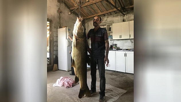 Elâzığ'da bir balıkçı 52 kiloluk dev turna balığı yakaladı