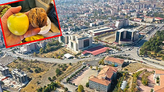 Elazığ'da boyutunu gören bir daha bakıyor!