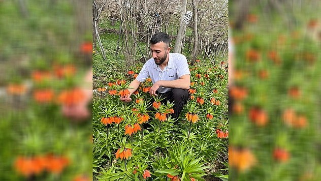 Elazığ'da bu çiçeği koparmanın cezası 244 bin lira