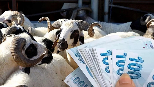 Elazığ'da bu hata 668 bin TL'ye mal olabilir: Kurban keserken bu hataları yapan yandı!