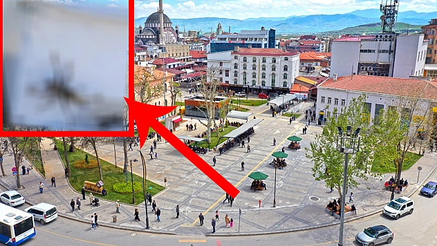 Elazığ'da Bu Kez Palu'da Görüntülendi