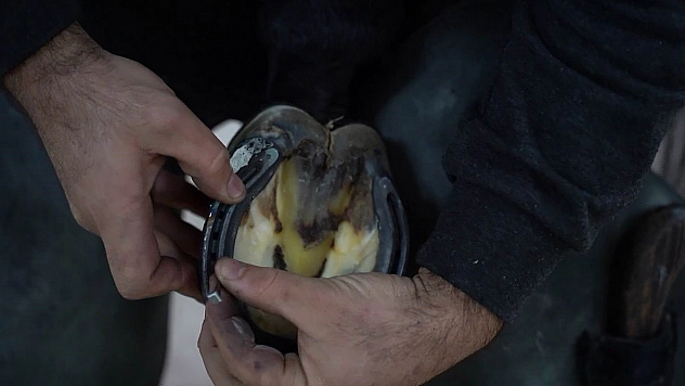 Elazığ'da Bu Kursu Tamamlayanlar İş Sahibi Olabilecek