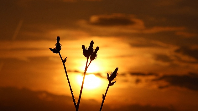 Elazığ'da bugün hava nasıl olacak? (25.06.2025)