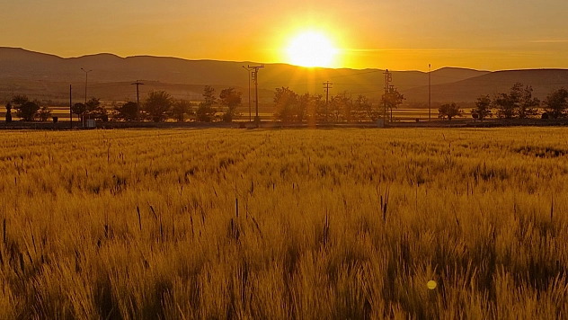 Elazığ'da bugün hava nasıl olacak? (29 Haziran 2025)