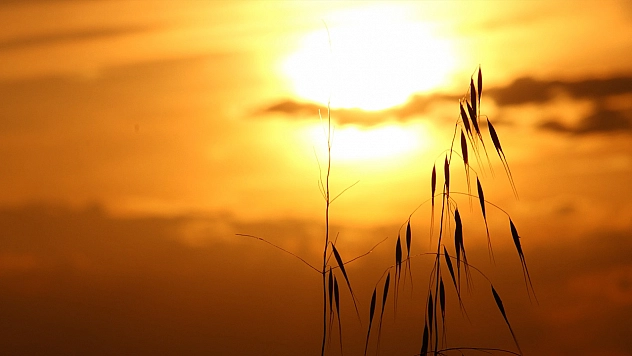 Elazığ'da bugün hava nasıl olacak? (03.10.2025)