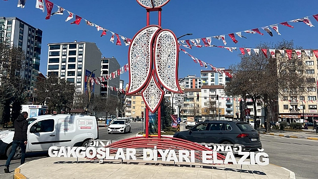 Elazığ'da Bunu Yapanlar Yandı!
