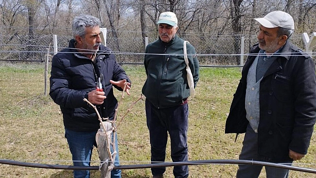 Elazığ'da Çiftçilere Bağ Budama Eğitimi