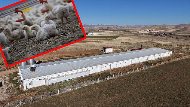 Elazığ'da çiftçinin başarısı: Devlet desteğiyle ikinci çiftliği kurdu