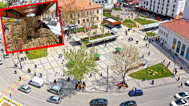 'Elazığ'da daha ucuzu yok' Dedi, kamyonla sattı vatandaş kilo kilo aldı