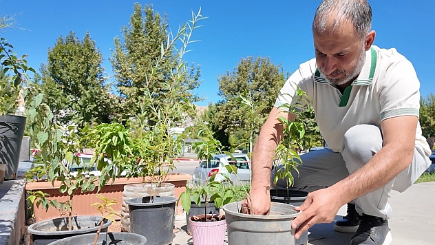 Elazığ'da depremden kalan fidanlar şehirde hayat buldu