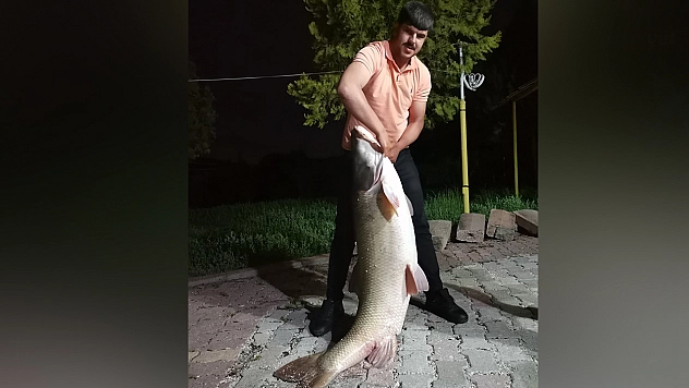 Elazığ'da dev balık yakalandı