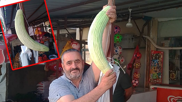 Elazığ'da dev küte şaşkına çevirdi